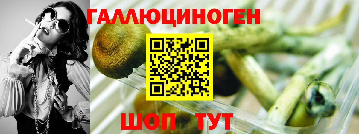 Псилоцибиновые грибы мицелий Светлоград